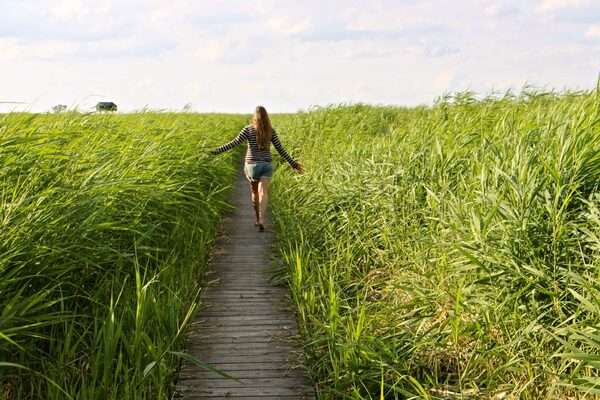 Peaceful trail through open nature with soft daylight and a calm path